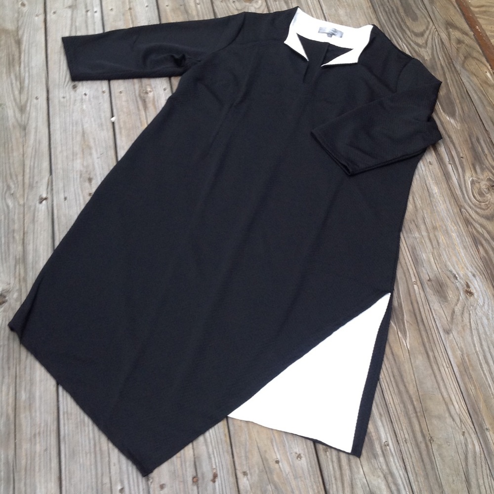 Laura Tanzer Asymmetrical Hem Dress, 2X